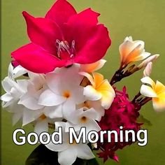 Good Morning Images 12 Good Morning Images