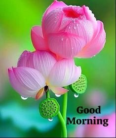 Good Morning Images 21 Good Morning Images