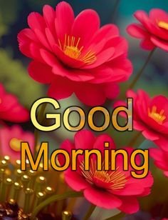 Good Morning Images 24 Good Morning Images