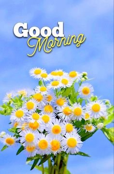 Good Morning Images 25 Good Morning Images