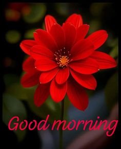 Good Morning Images 26 Good Morning Images