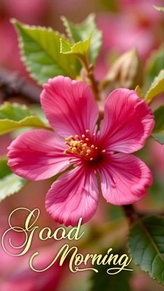 Good Morning Images 27 Good Morning Images