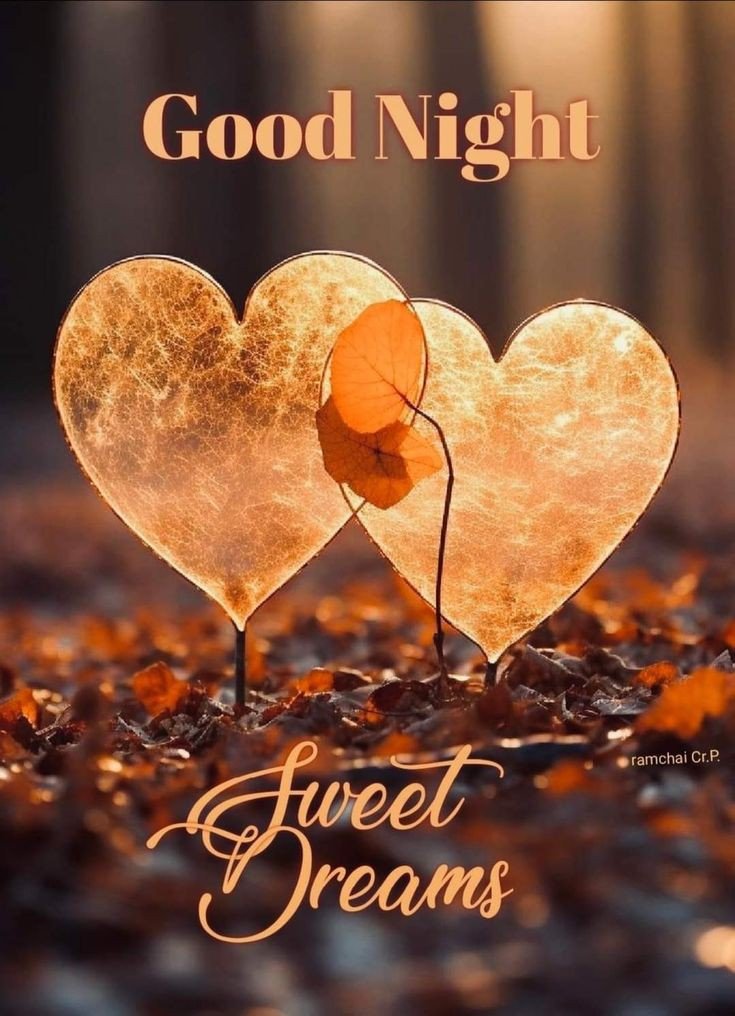 all good night photo