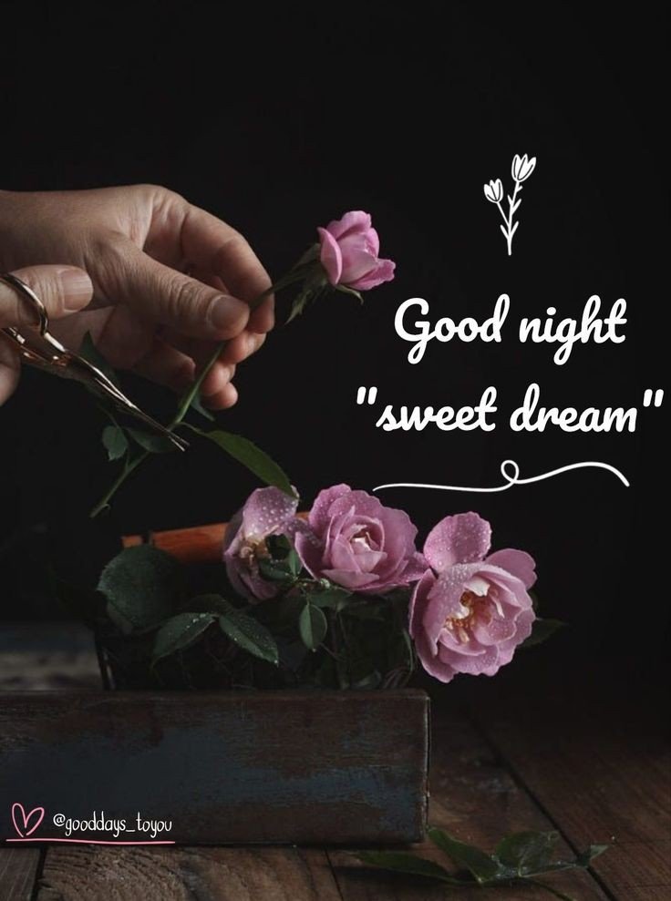 beautiful good night blessings images gif