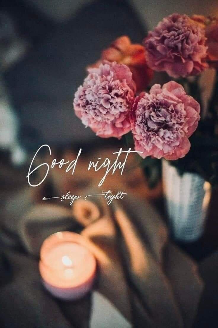 special good night images for whatsapp
