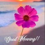 Good Morning Images 28 Instagram Pfp
