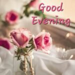 animated have a good evening images